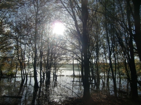 Duisburg-Walsum : Rheinaue Walsum